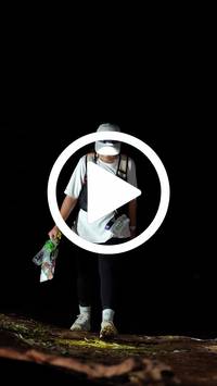 BIB:  <button type="button" onclick="openModal(27561613)" class="btn btn-primary btn-sm float-right" data-toggle="modal" data-target=".modal-high-quality">
                <i class="fa fa-download"></i> Download
                </button>